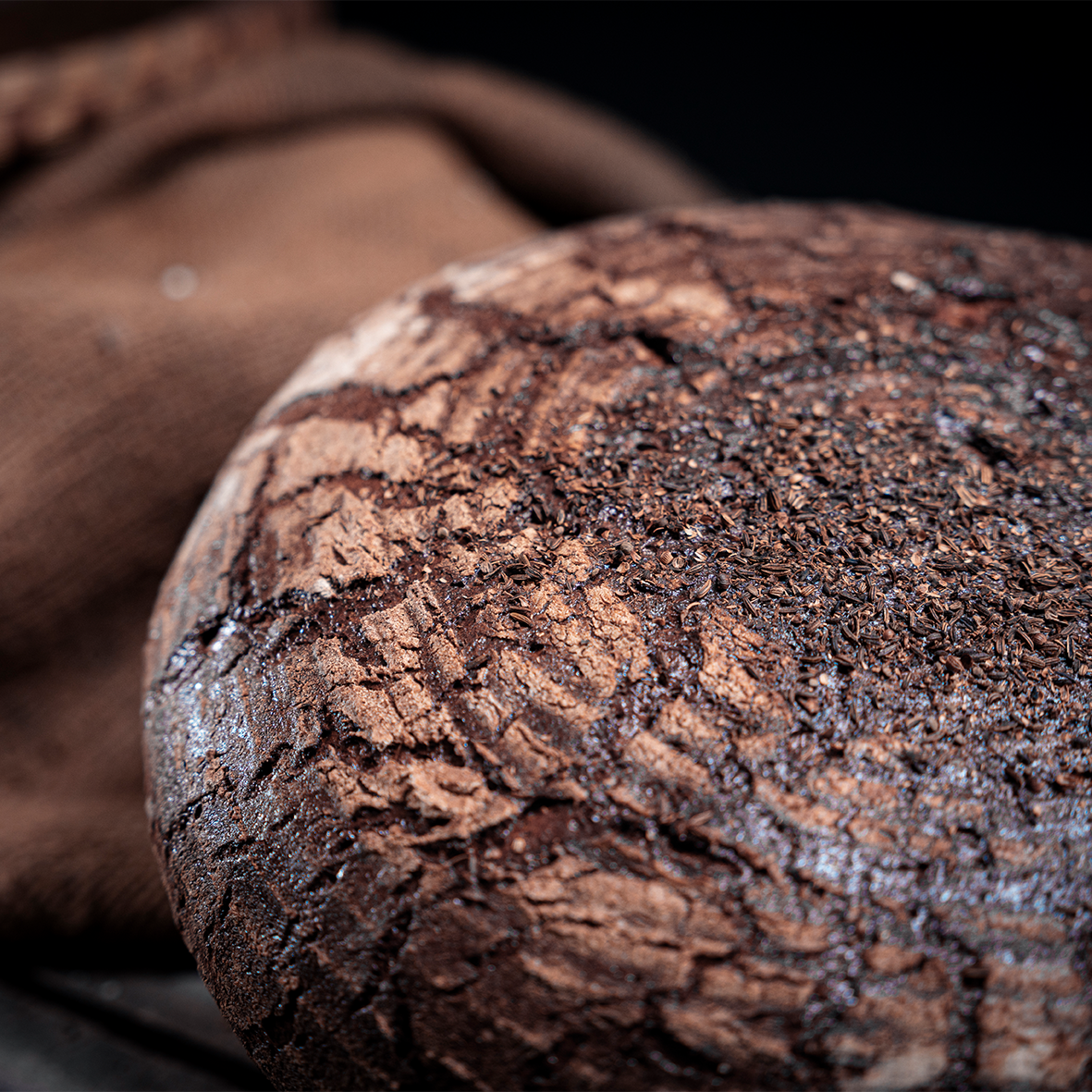 BP_BROT_2024_1003 Kopie